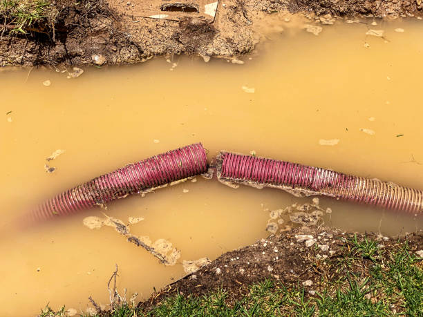 Plumbing Leak and Burst Pipe Cleanup